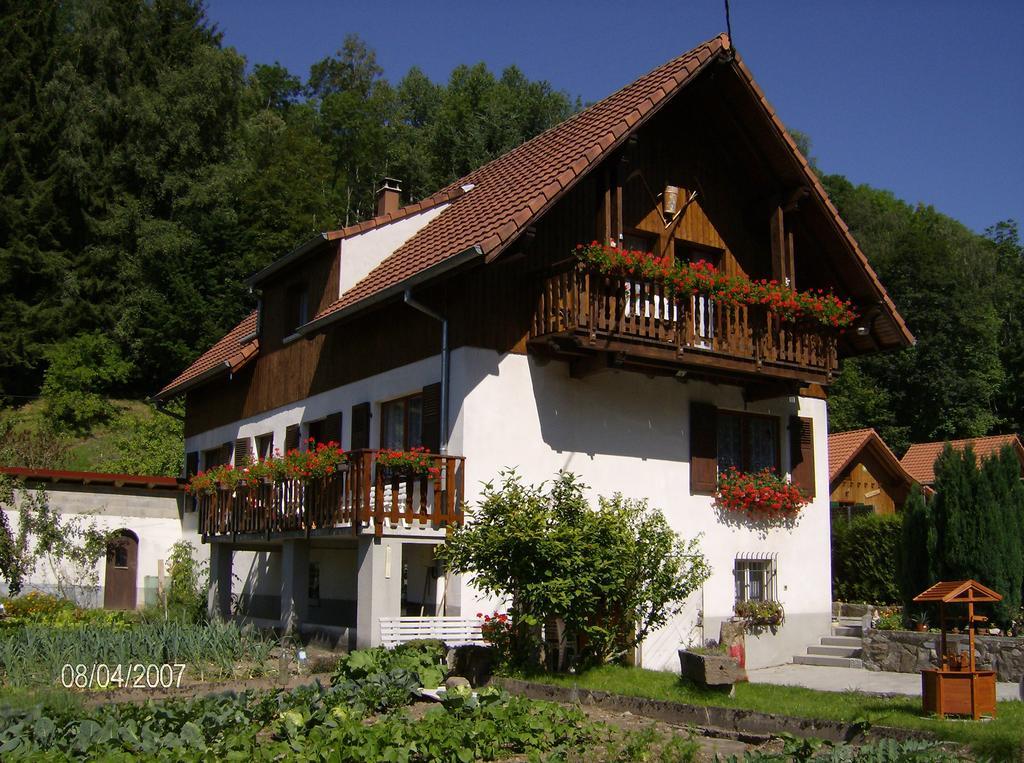 Appartement Vue Sur La Montagne Soultzeren Exterior foto
